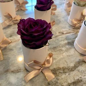 PLUM colored preserved real rose in mini box